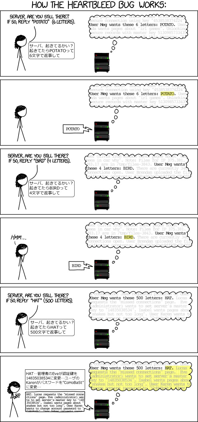 heartbleed_explanation
